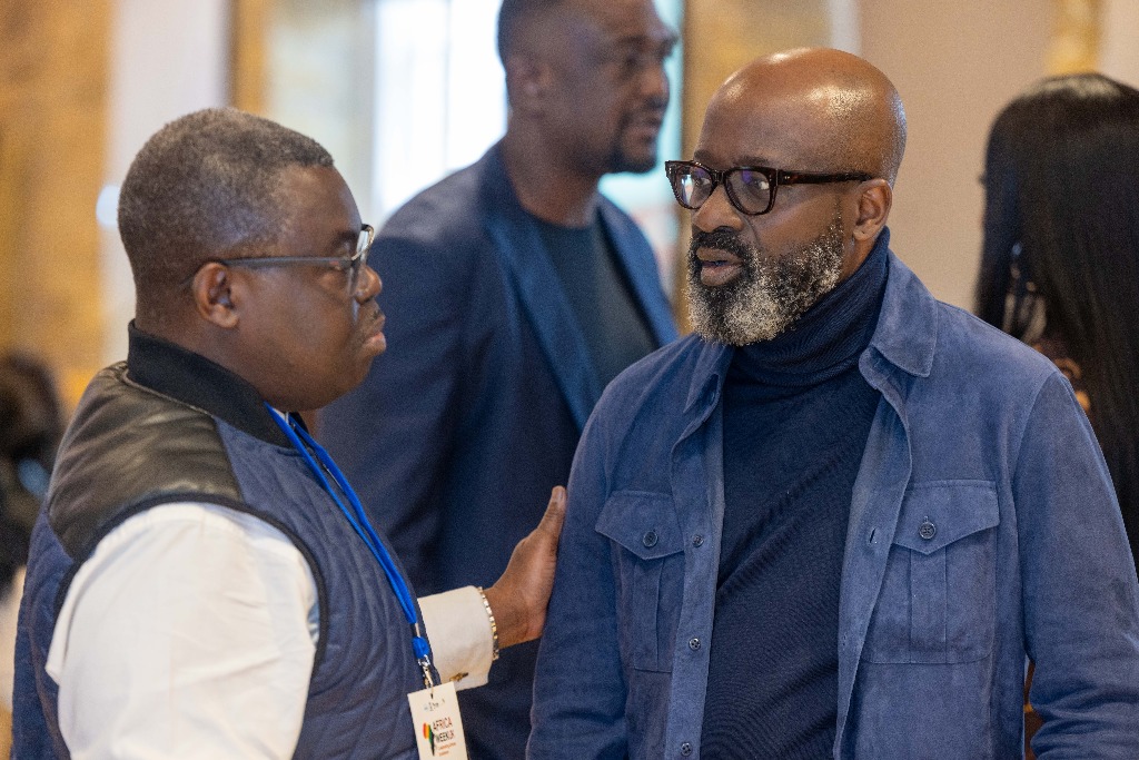 Diaspora and corporate leaders networking